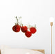 Rspberry splashing Wall Decal