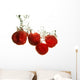 Rspberry splashing Wall Decal