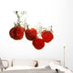 Rspberry splashing Wall Decal