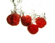 Raspberry Splashing Wall Decal