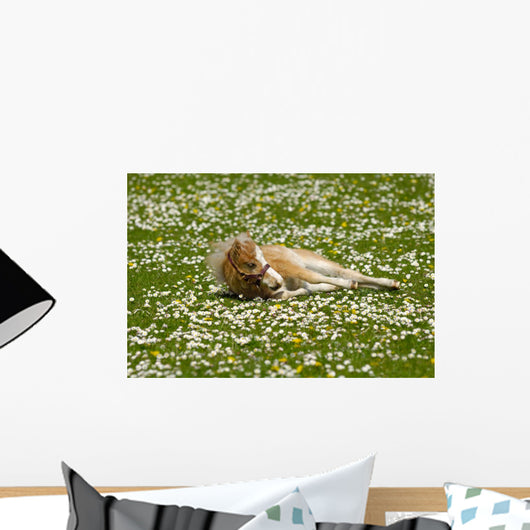 Horse Foal Is Resting on Flower Field Wall Mural