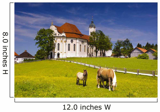 Wieskirche in Bayern mit Haflinger Wall Mural