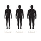 Body Male Types, Silhouette Man Naked Figure, Front Human Body Wall Decal