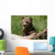 Grizzly bear cub sitting on the log Wall Mural