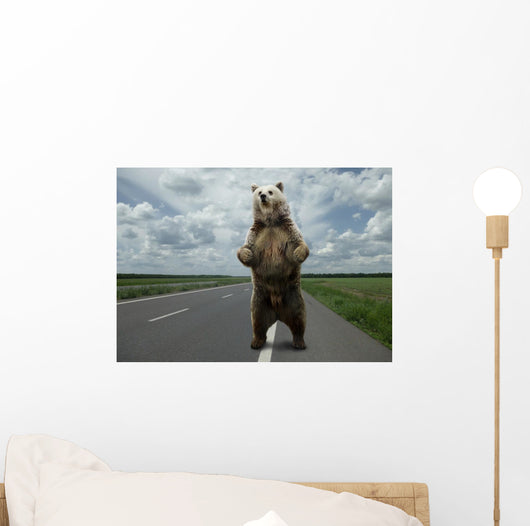 Brown bear standing on the road. Wall Mural