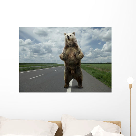 Brown bear standing on the road. Wall Mural
