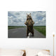 Brown bear standing on the road. Wall Mural