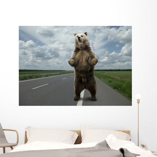 Brown bear standing on the road. Wall Mural
