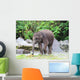 Baby Elephant Eats Grass Wall Decal