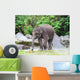 Baby Elephant Eats Grass Wall Decal
