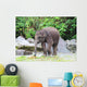 Baby Elephant Eats Grass Wall Decal