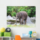 Baby Elephant Eats Grass Wall Decal