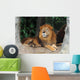 Lion resting on a tree Wall Mural