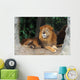 Lion resting on a tree Wall Mural