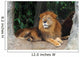 Lion resting on a tree Wall Mural
