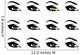 beautiful eyes, devilish eyes Wall Decal
