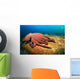 Octopus Wall Mural