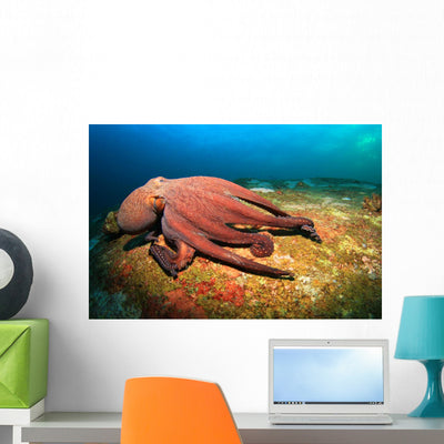 Octopus Wall Decal shown on a wall