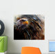 painting  eagle on an abstract background, USA Symbols Freedom Wall Mural