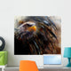 painting  eagle on an abstract background, USA Symbols Freedom Wall Mural