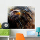 painting  eagle on an abstract background, USA Symbols Freedom Wall Mural
