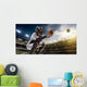 Professional baseball player in action Wall Mural