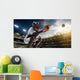 Professional baseball player in action Wall Mural
