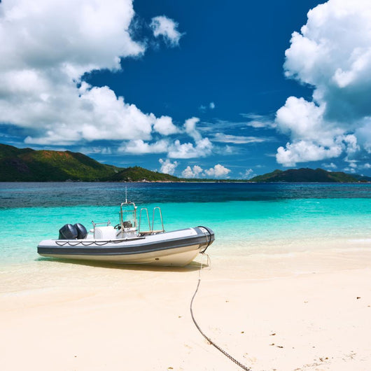 Tropical Beach Seychelles with Wall Decal
