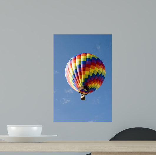 Hot Air Balloon Flight Wall Decal