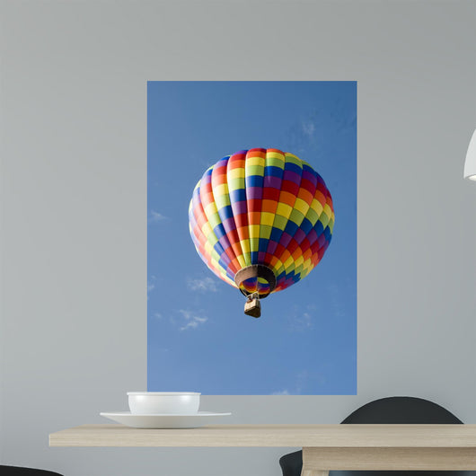 Hot Air Balloon Flight Wall Decal