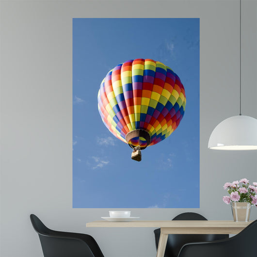 Hot Air Balloon Flight Wall Decal