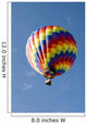 Hot Air Balloon Flight Wall Decal
