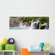 Krka waterfalls Wall Mural