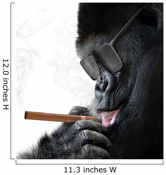 are cigarettes becoming more popular The rise and fall of smoking in rich countries are cigarettes becoming more popular The rise and fall of smoking in rich countries