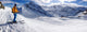 Skifahrer Wall Decal