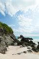 Horseshoe Bay Beach In Bermuda Wall Decal
