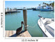 Pelican and Boats Wall Mural