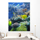 under the sea Wall Mural