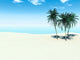 Tropical Beach Wall Decal 3
