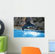Dolphin Wall Mural