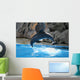 Dolphin Wall Mural