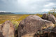 One Of The Rocks In Petroglyph National Monument, Nm Wall Decal