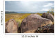 One of the rocks in Petroglyph National monument, NM Wall Mural