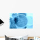 Research images Wall Mural