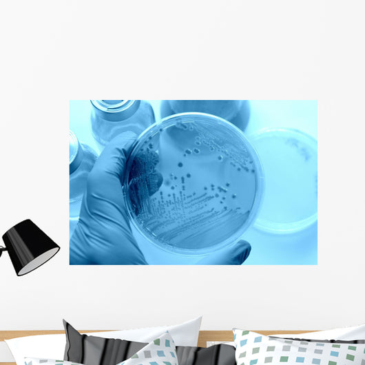 Research images Wall Mural