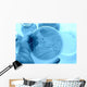 Research images Wall Mural