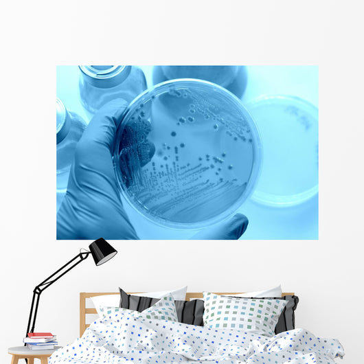 Research images Wall Mural