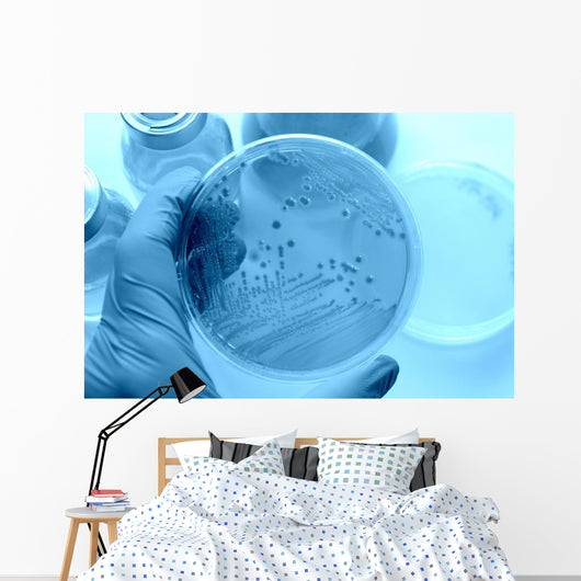 Research images Wall Mural