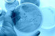Research Images Wall Decal