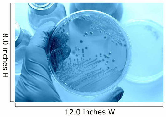 Research images Wall Mural